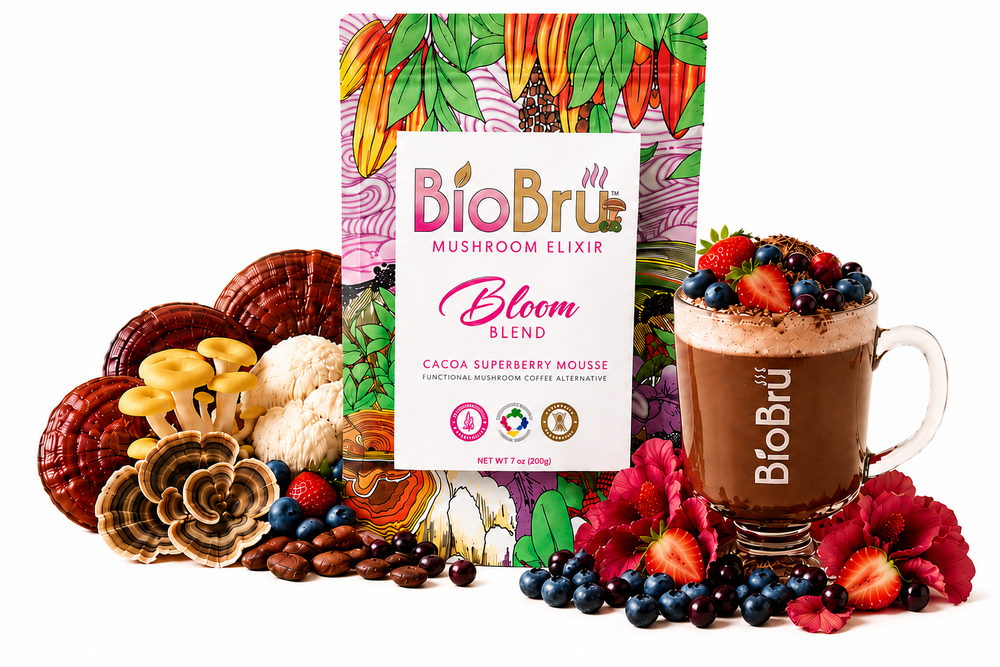 BioBru Mushroom Elixir Bloom Blend coffee alternative shown with its colorful packaging, surrounded by ingredients including mushrooms, berries, and a prepared mug of chocolate mousse topped with fresh berries on a white background.